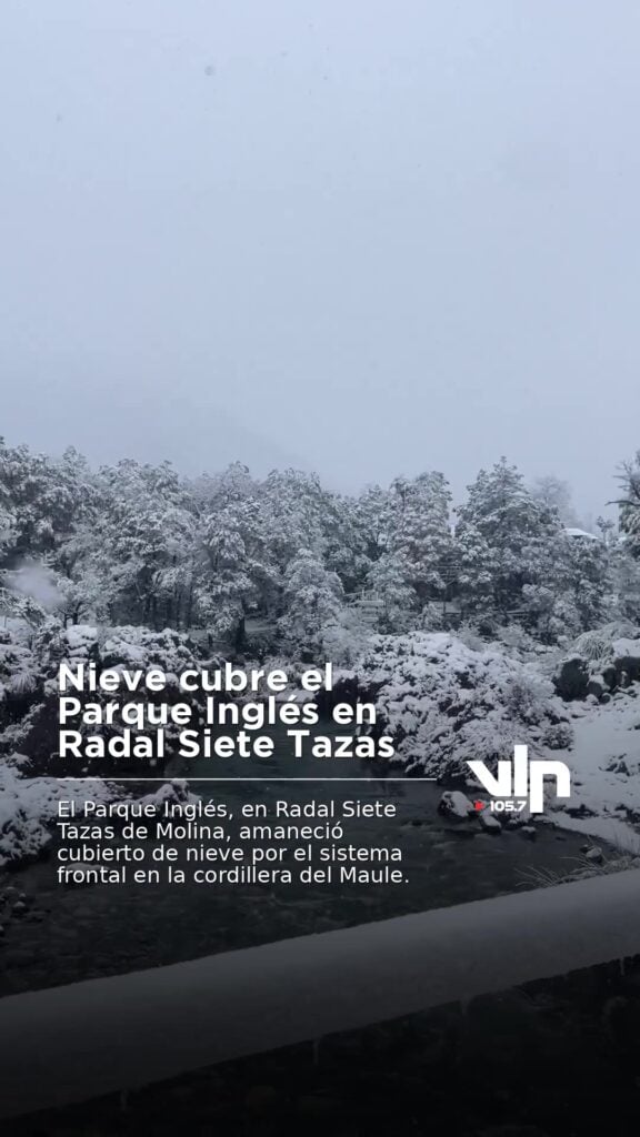 Nieve cubre el Parque Inglés en Radal Siete Tazas
