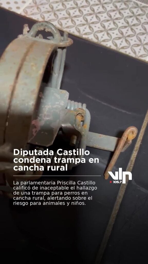Diputada Castillo condena trampa en cancha rural