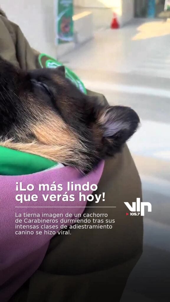 ¡Lo más lindo que verás hoy!