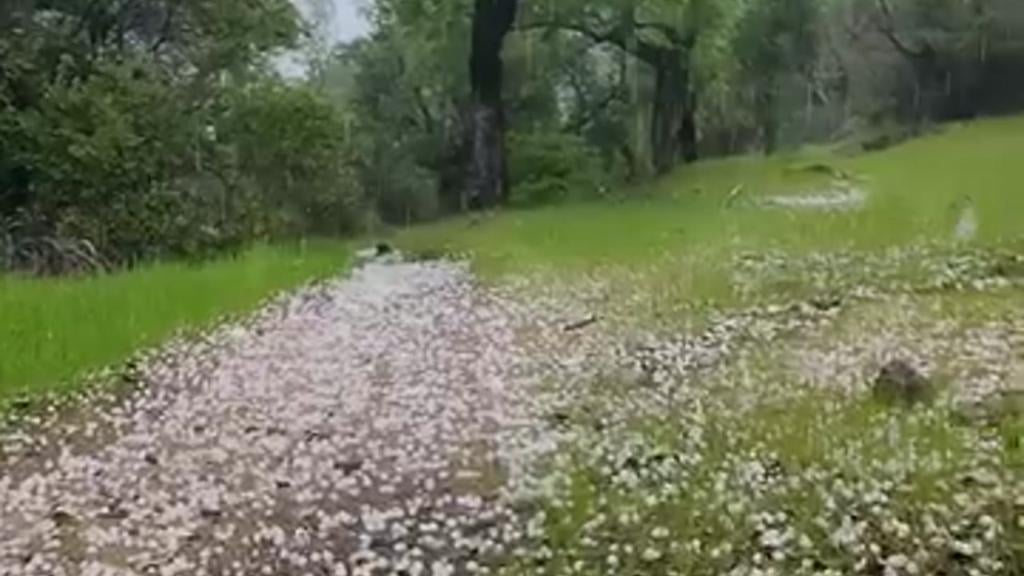 Granizada sorprende a guardaparques en Los Queñes