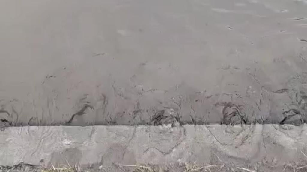 Fuga de agua preocupa a vecinos de Curicó