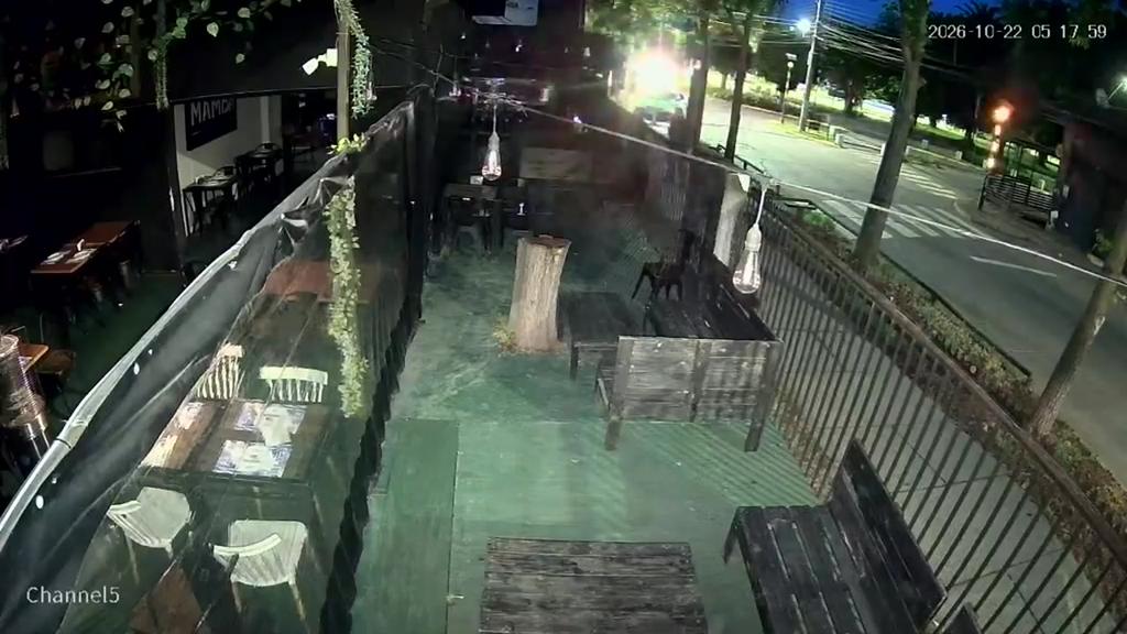 Carabineros detiene a ladrón en local nocturno de Curicó